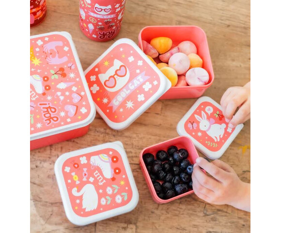 A little lovely company Σετ 4 δοχεία φαγητού Lunch & Snack Box  Fun