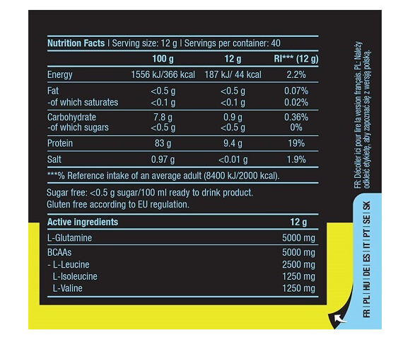 Biotech USA BCAA & Glutamine Zero 480gr Πορτοκάλι