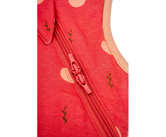 BabyBliss BlissSac Χειμερινός Υπνόσακος με Ποδαράκια 2.5 tog Lovely Apples 3-5 ετών