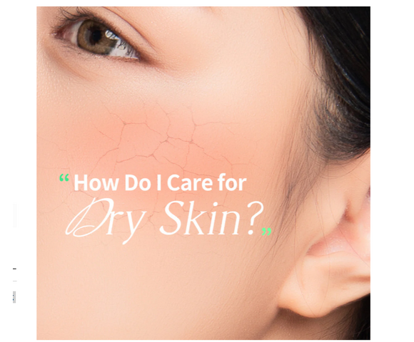 Mediheal Dermaplus Birch Mask 8809936740347