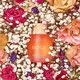 Cocosolis ORGANIC ROSE - Purify & Nourish Oil Cleanser