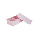 Estia Δοχείο Φαγητού Πλαστικό Ροζ 1lt 01-35242